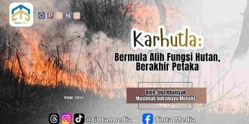 Karhutla: Bermula Alih Fungsi Hutan, Berakhir Petaka