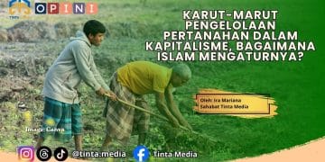 Karut-Marut Pengelolaan Pertanahan dalam Kapitalisme, Bagaiman Islam Mengaturnya?