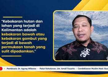 Pakar Kehutanan Ungkap Penyebab Karhutla Tak Kunjung Padam