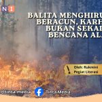 Balita Menghirup Asap Beracun, Karhutla Bukan Sekadar Bencana Alam Balita Menghirup Asap Beracun, Karhutla Bukan Sekadar Bencana Alam